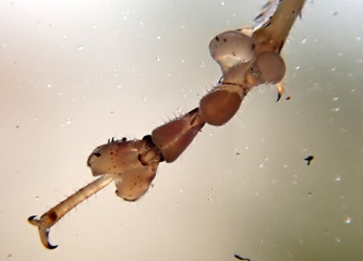 P2166642a.jpg